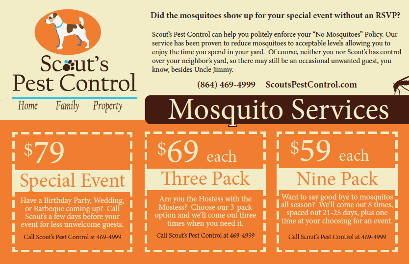save money on mosquito services scouts pest control flyers for exterminators